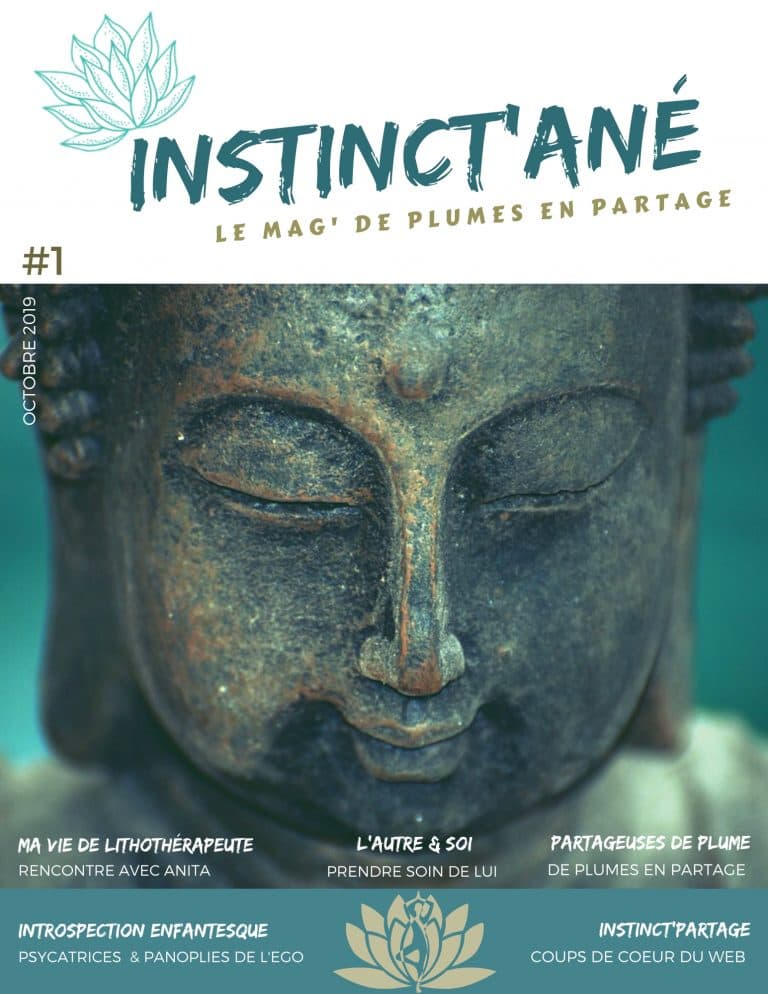 Instinctané Le Mag N°1