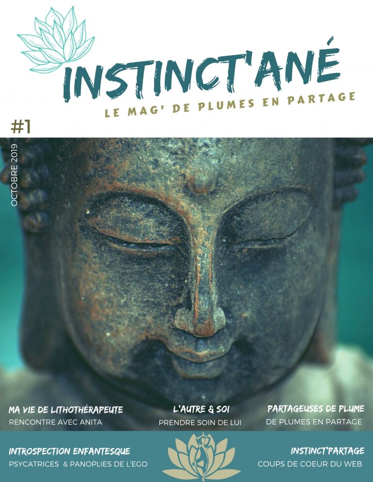 instinctane-le-mag-num-1